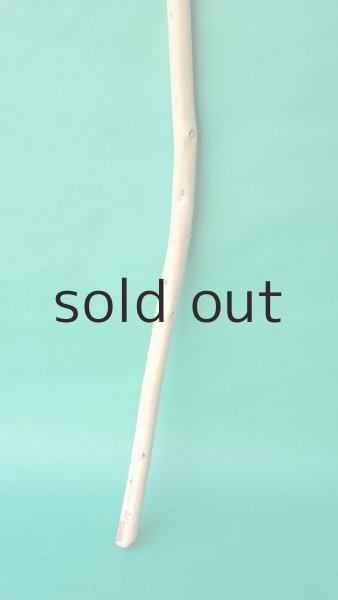 画像2: 棒流木 (2)