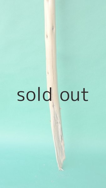 画像2: 棒流木 (2)