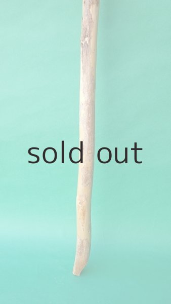 画像2: 棒流木 (2)