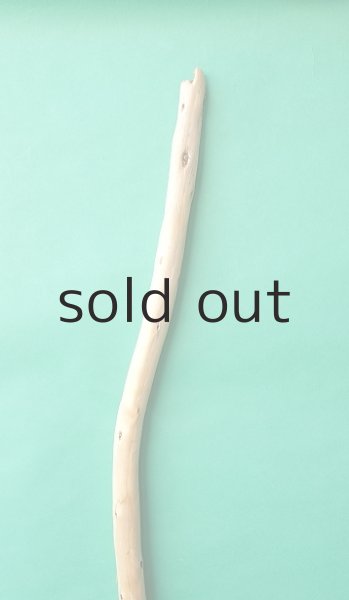 画像4: 棒流木 (4)