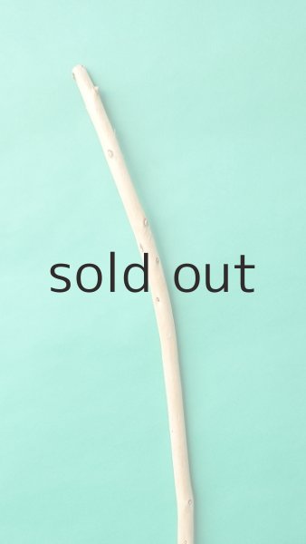 画像3: 棒流木 (3)