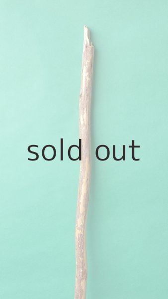 画像3: 棒流木 (3)