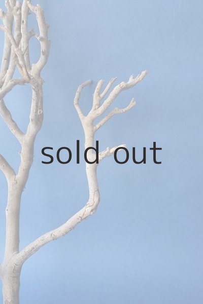 画像4: 小枝流木 (4)