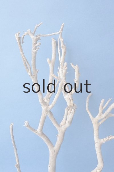 画像3: 小枝流木 (3)