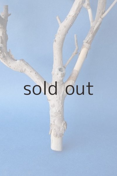 画像2: 小枝流木 (2)