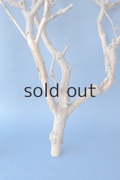 画像6: 小枝流木 (6)