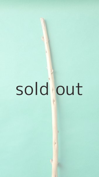 画像4: 棒流木 (4)