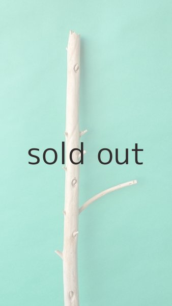 画像3: 棒流木 (3)