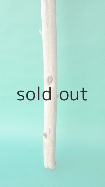 画像2: 棒流木 (2)