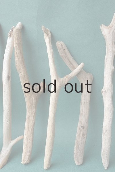 画像3: 小枝流木セット (3)