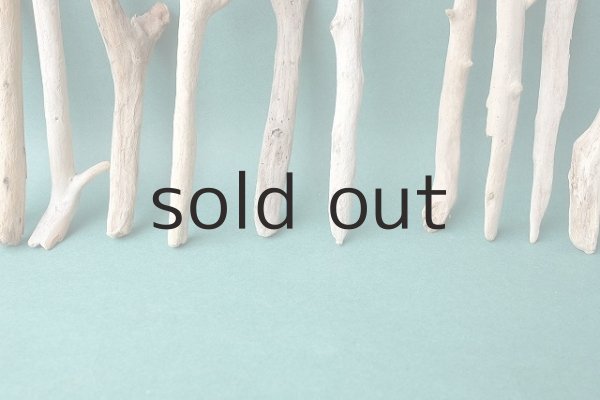 画像6: 小枝流木セット (6)