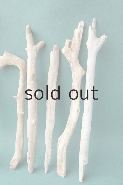 画像5: 小枝流木セット (5)