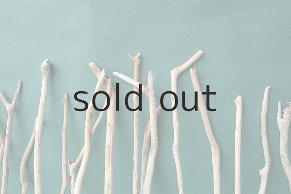 画像7: 小枝流木セット (7)