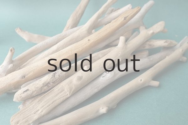 画像9: 小枝流木セット (9)