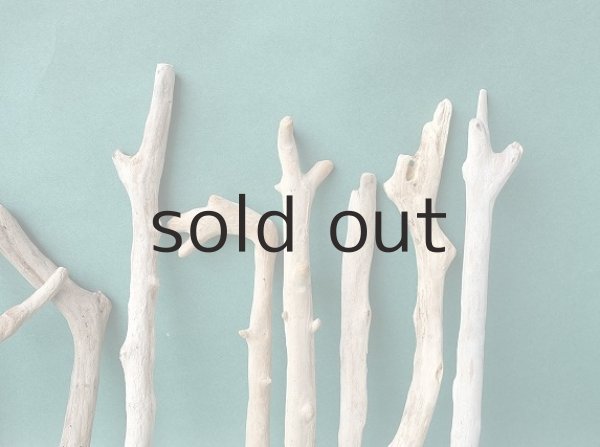 画像8: 小枝流木セット (8)