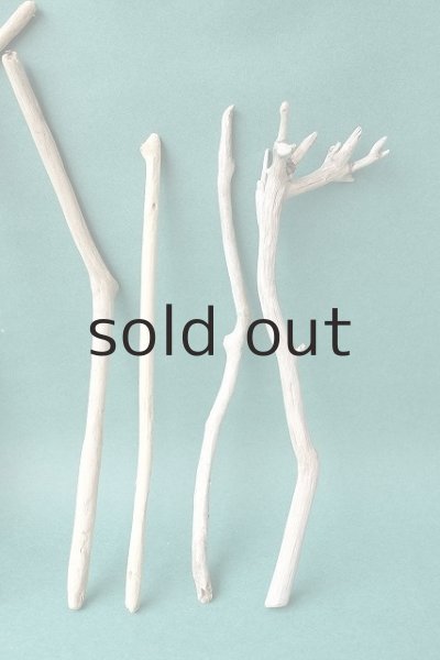 画像5: 小枝流木セット (5)