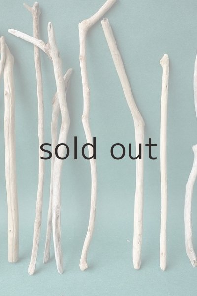 画像4: 小枝流木セット (4)