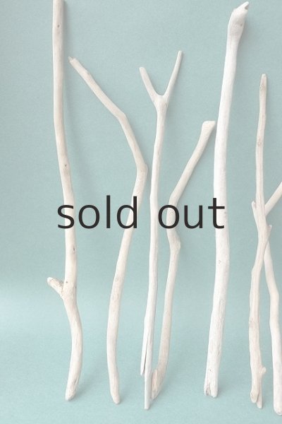 画像2: 小枝流木セット (2)