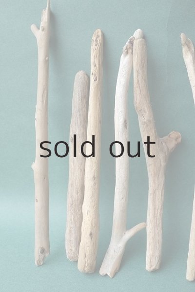 画像2: 小枝流木セット (2)