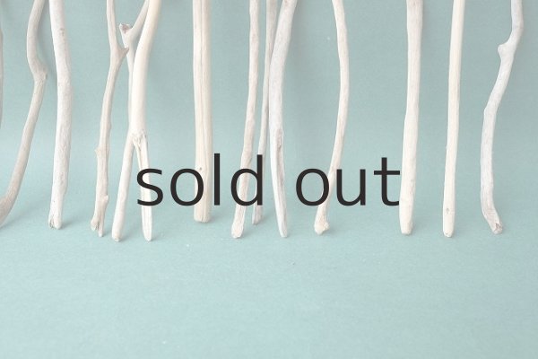 画像6: 小枝流木セット (6)