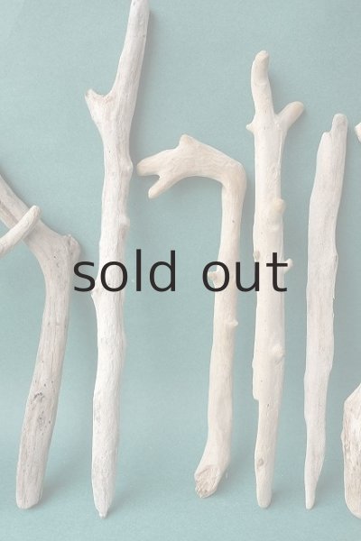 画像4: 小枝流木セット (4)