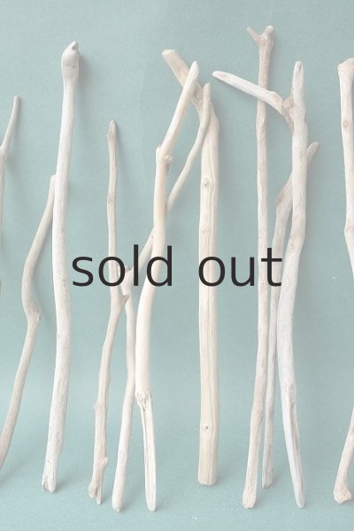 画像3: 小枝流木セット (3)