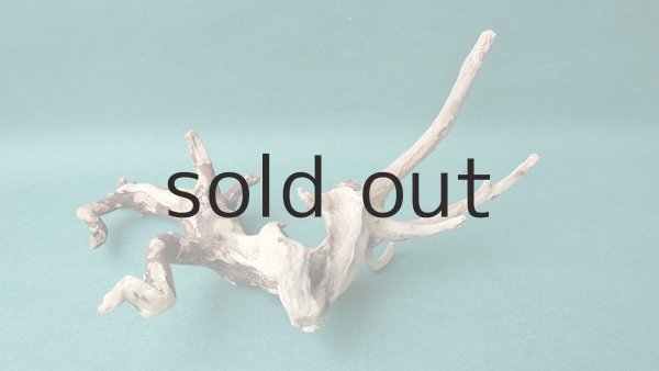 画像5: 流木根 (5)