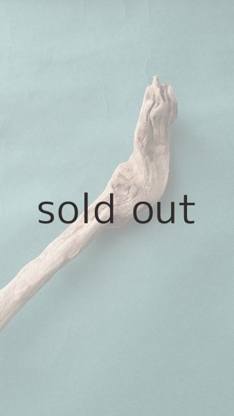 画像4: 流木根 (4)