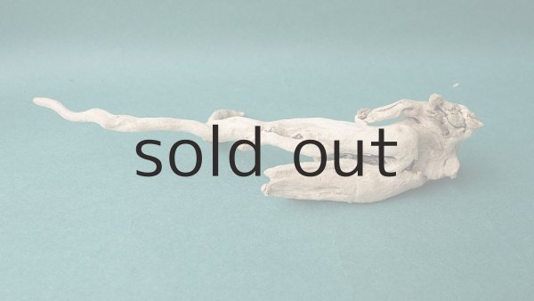 画像4: 流木根 (4)