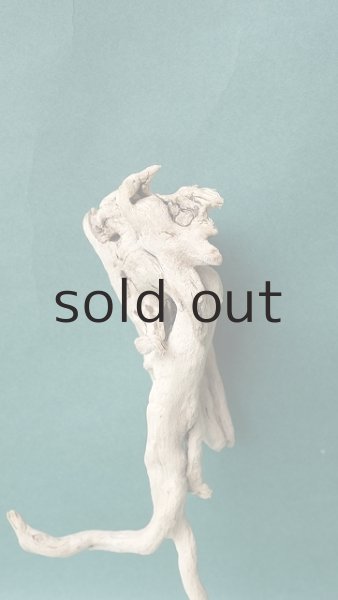 画像3: 流木根 (3)