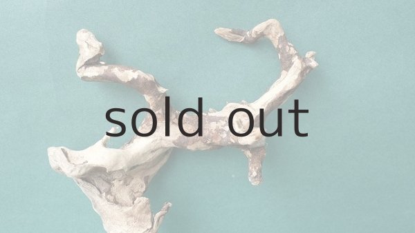 画像3: 流木根 (3)