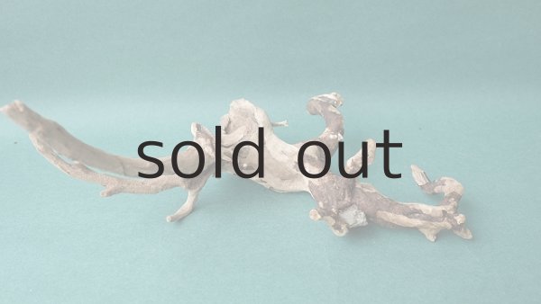 画像4: 流木根 (4)