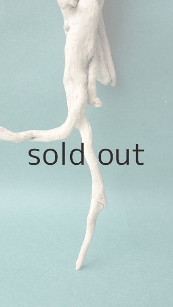 画像2: 流木根 (2)