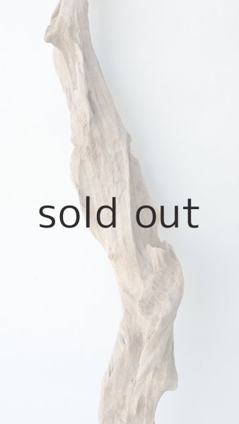 画像3: 変形流木 (3)