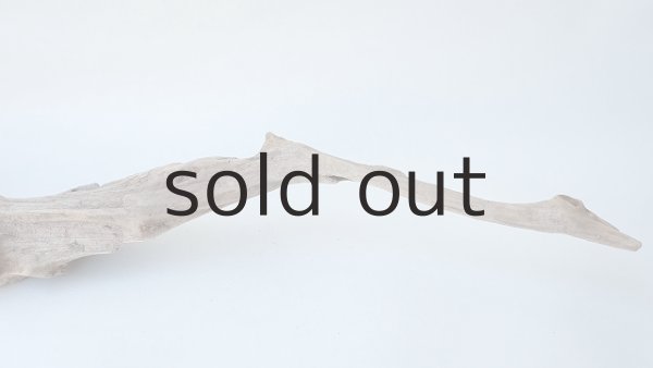 画像6: 変形流木 (6)