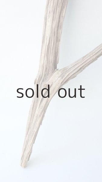 画像2: 変形流木 (2)