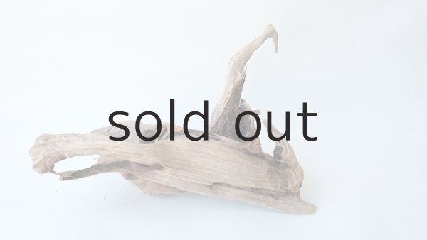 画像7: 変形流木 (7)