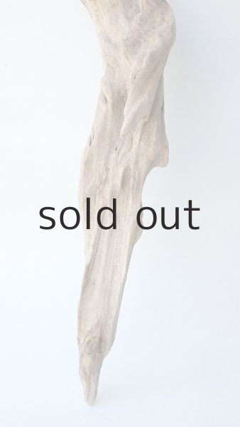 画像2: 変形流木 (2)