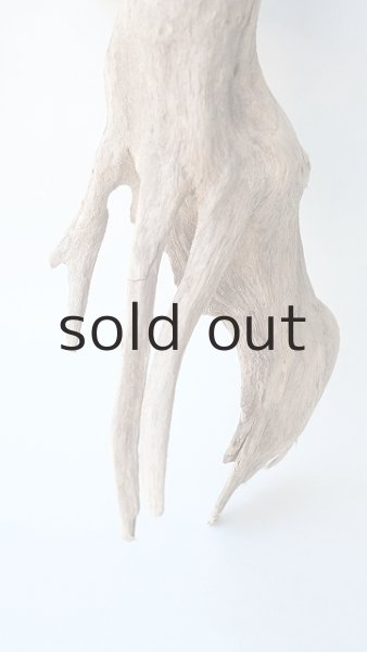 画像2: 変形流木 (2)