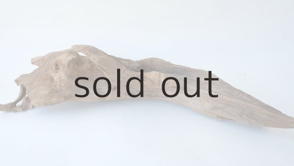 画像5: 変形流木 (5)