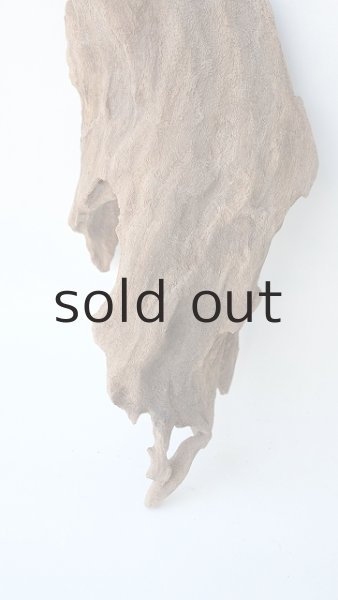 画像2: 変形流木 (2)