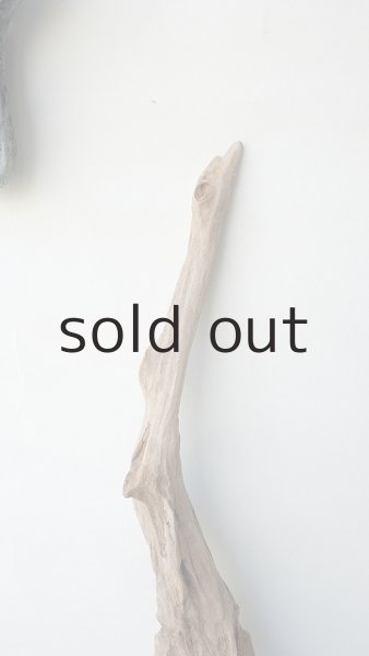 画像4: 変形流木 (4)