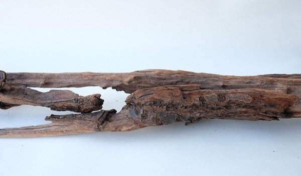 画像6: 変形流木 (6)