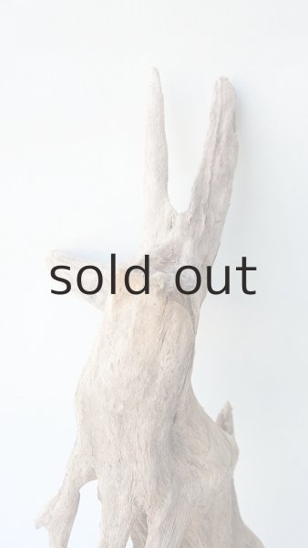 画像3: 変形流木 (3)