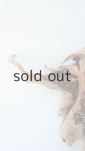 画像4: 変形流木 (4)