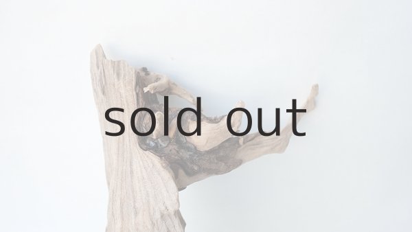 画像3: 変形流木 (3)