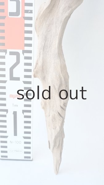 画像8: 変形流木 (8)