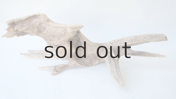 画像5: 変形流木 (5)