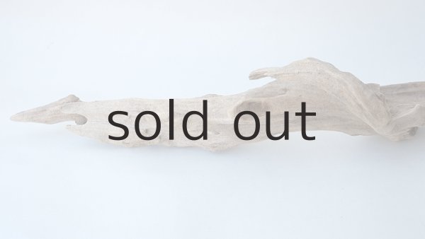 画像5: 変形流木 (5)