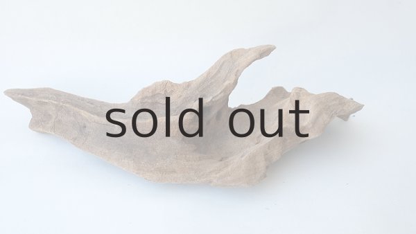 画像4: 変形流木 (4)